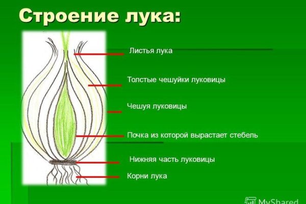 Правильная ссылка онион кракен