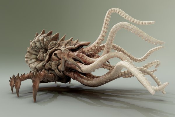 Kraken17at