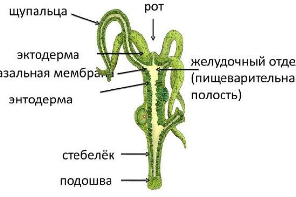 Кракен сайт маркетплейс ссылка