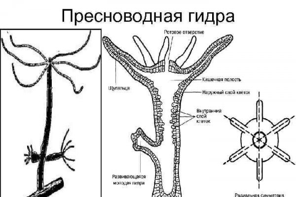 Как зайти на кракен с айфона